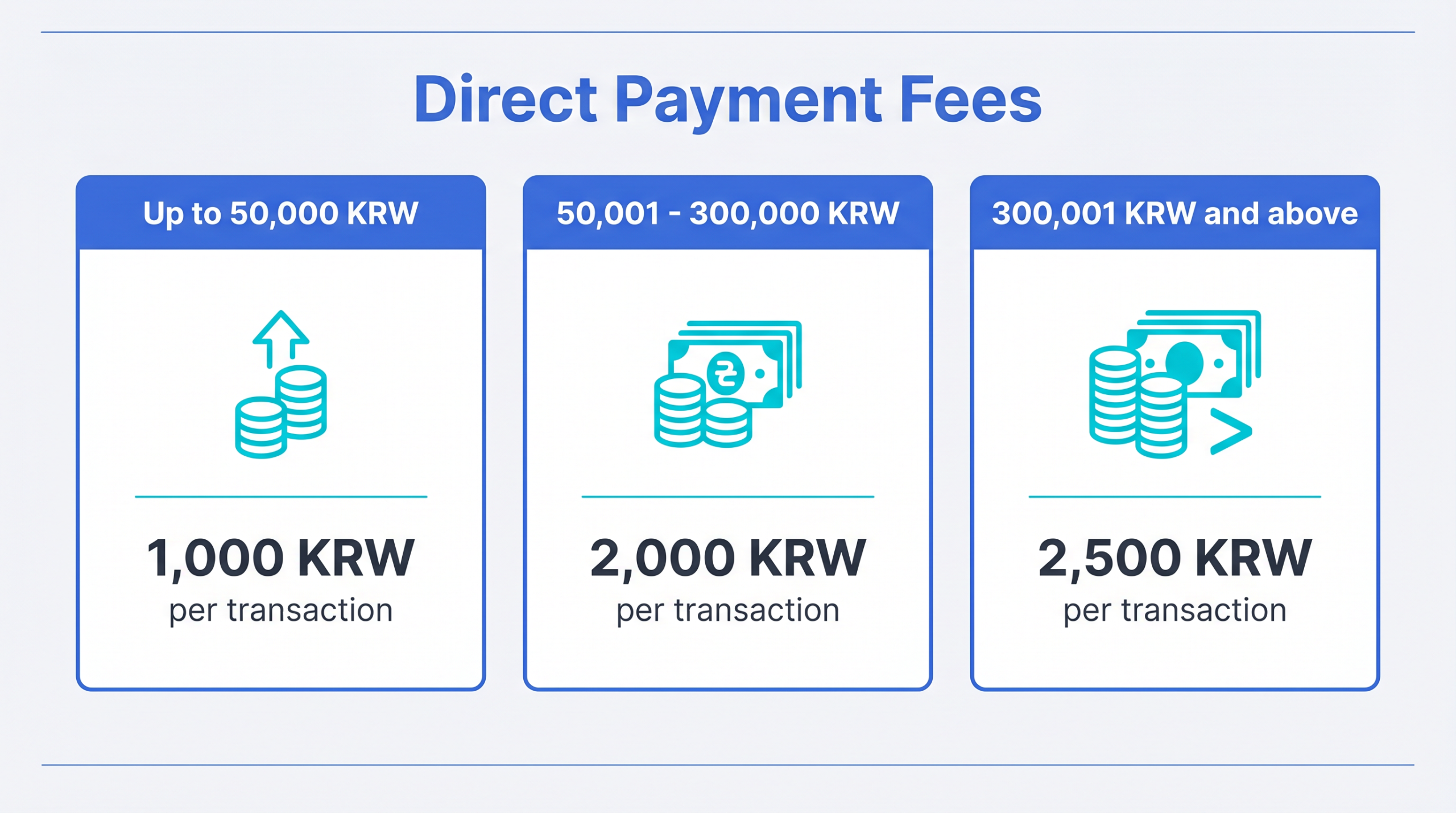 Infographic banner summarizing Paysable Direct Payment's three-tier fee by payment amount